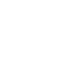 Icono